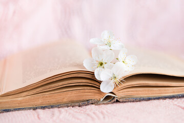 old book with white small flowers on a pink background	