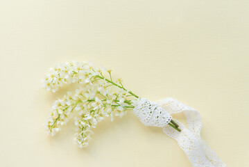 Three branches of blooming white bird cherry on a plain, delicate pastel background.	
