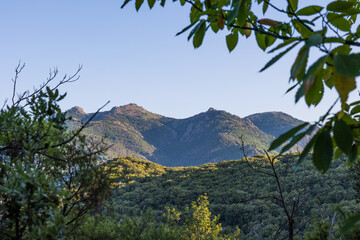 Forêt et montagnes autour du village d'Olargues dans le Parc naturel régional du Haut-Languedoc
