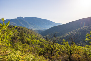 Forêt et montagnes autour du village d'Olargues dans le Parc naturel régional du Haut-Languedoc