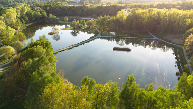 Siemianowice Śląskie. Bażantarnia. Widok z lotu ptaka.