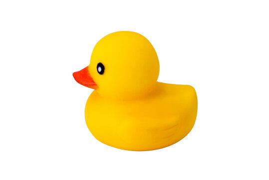 Yellow rubber duck isolated on white background. yellow rubber duck