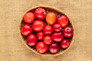 Several sweet juicy cherry plums in a straw plate on burlap, close-up, top view.