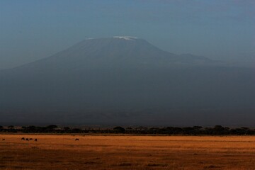 Panarama of  Mt Kilimanjaro