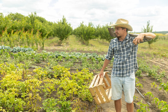 farmer man in a hat standing proud in front of garden landscape holding wooden box and a shovel - agriculture.