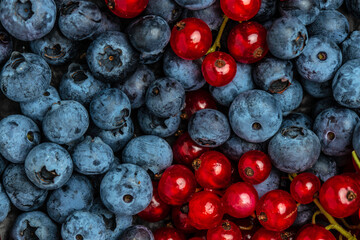 fresh berries close up, blueberry and red currant background, Texture berries