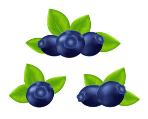 Blueberries, a set of berries and leaves.Realistic berries isolated on a white background.Vector illustration.
