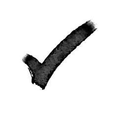 check mark isolated on white