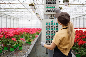 Female flower greenhouse worker in uniform controls the irrigation system on the control panel