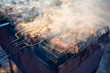 Close-up of grilling tasty dish on barbecue. Process of cooking yummy shashlik in nature. Delicious food on metal skewer in bbq. Time to picnic concept. 