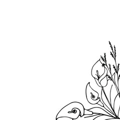 postcard calla flowers