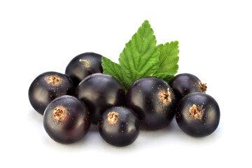 Black currant on white