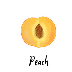 Illustration of a peach isolated on a white background