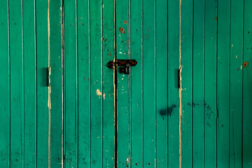 Classic dark green wooden door for background.	
