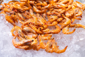 cooked shrimp on ice