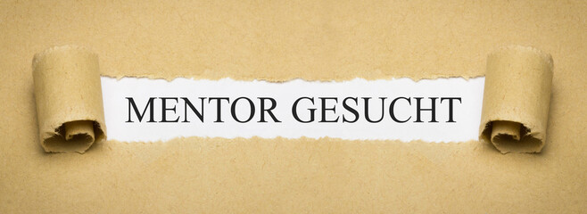 Mentor gesucht