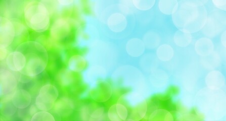 Fototapeta premium 光輝く木漏れ日