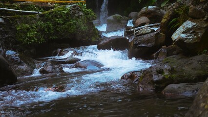 Fototapeta premium Natural beauty in the tropics, very natural scenery
