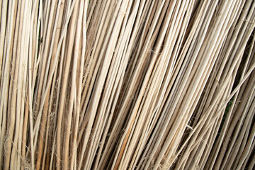 Rows and Rows of brown Jute Sticks Texture background of a field