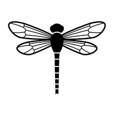 Dragonfly Design Very Cool