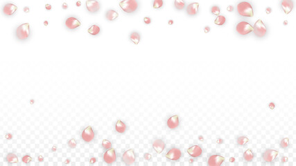 Pink Vector Realistic Petals Falling on Transparent Background.  Spring Romantic Flowers Illustration. Flying Petals. Sakura Spa Design. Blossom Confetti. Design Elements for Wedding Decoration.