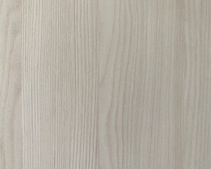 Fototapeta premium White wood plank texture