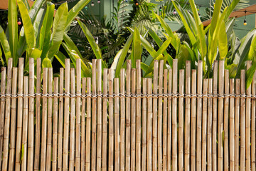 Obraz premium Background and texture of bamboo wall or fence