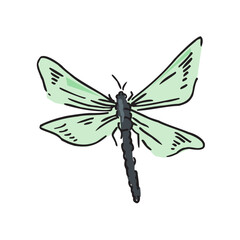 Dragonfly Design Very Cool