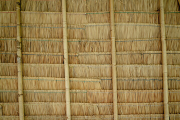 Background and texture of bamboo wall or fence