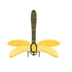 Dragonfly Design Very Cool