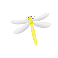 Dragonfly Design Very Cool