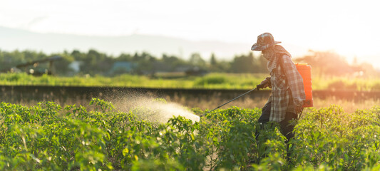 Farmers are using chemical sprayers on their farm fields. to prevent insects To nourish plants. Use of agricultural chemicals. © PIPAT