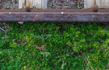 rusty railroad tracks with grass leading to a salt lake
