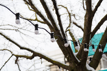 Garland with bulbs hanging on tree covered with snow, outdoor lighting lamps