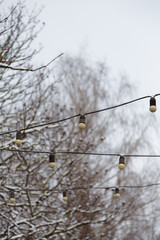 Garland with bulbs hanging on tree covered with snow, outdoor lighting lamps