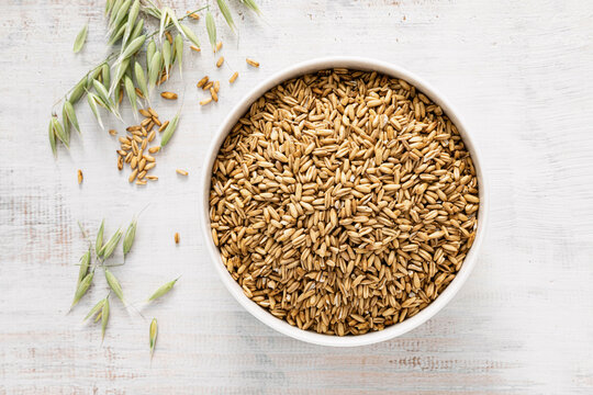 Oats. Whole grain oats with ears