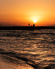 Silhouette of two men and a bike in the beach at sunset