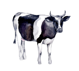 Watercolor farm animals. Cute cow on a white background. animal silhouette. Wildlife art illustration