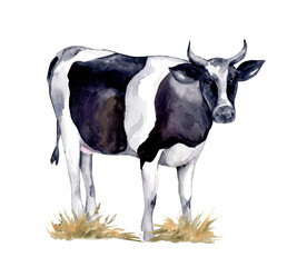 Watercolor farm animals. Cute cow on a white background. animal silhouette. Wildlife art illustration