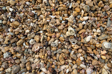 pebbles on the beach