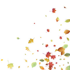 Leaves Falling Autumn Foliage Chaotic Leaf Flying