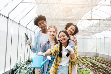 Group of teenage doing the activity on an organic farm in a greenhouse.