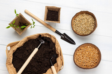 Soil, rake and shovel in paper container. Seeds in pots. Shovel for planting seedlings.