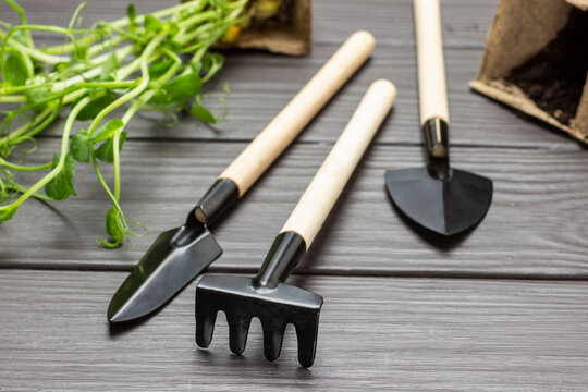 Set of different gardening tools: rake, shovel, peat pots with seedlings and soil.