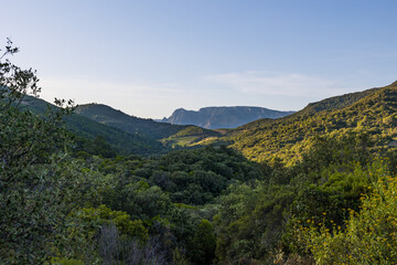 Montagnes et forêt du Parc naturel régional du Haut-Languedoc depuis le hameau de Ceps à Roquebrun