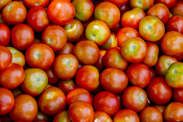 Freshly picked cherry tomatoes in a basket