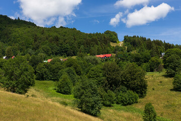 Summer Slovak Mountain Great Fatra, Velka Fatra, peaks Nova Hola (1361 m) and Zvolen (1403 m), views from them, Slovakia © Kajano