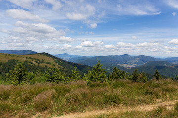 Summer Slovak Mountain Great Fatra, Velka Fatra, peaks Nova Hola (1361 m) and Zvolen (1403 m), views from them, Slovakia © Kajano