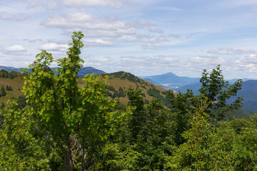 Summer Slovak Mountain Great Fatra, Velka Fatra, peaks Nova Hola (1361 m) and Zvolen (1403 m), views from them, Slovakia © Kajano