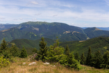 Summer Slovak Mountain Great Fatra, Velka Fatra, peaks Nova Hola (1361 m) and Zvolen (1403 m), views from them, Slovakia